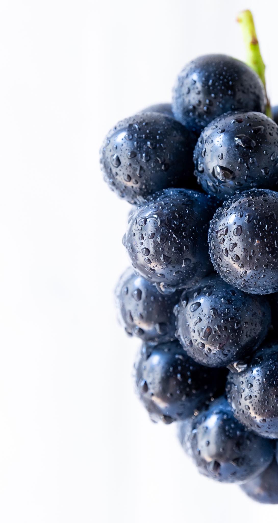 350房キャンセル危機